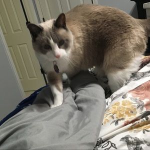 Meet your Posher, Erin